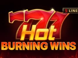 Hot Burning Wins game screenshot